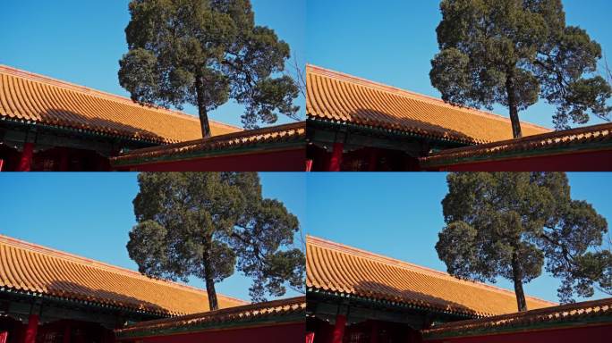 4K正版-故宫博物院皇家园林建筑06