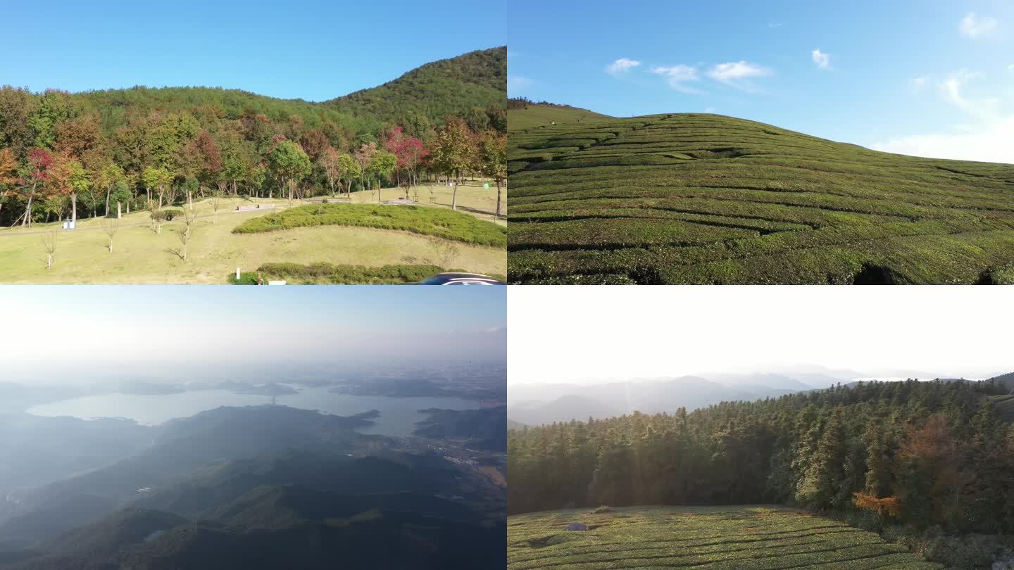 宁波东钱湖风景名胜区山顶景观植被树林素材