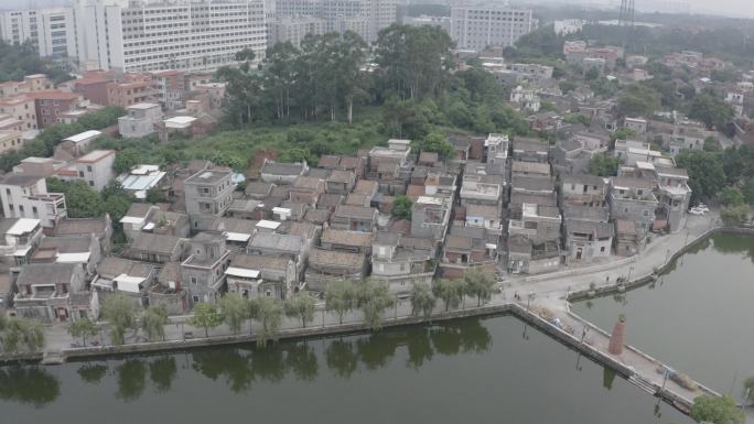 佛山市西樵松塘村4k