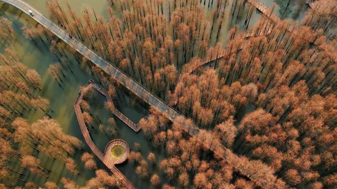 航拍杭州市临安区青山湖冬季水上森林