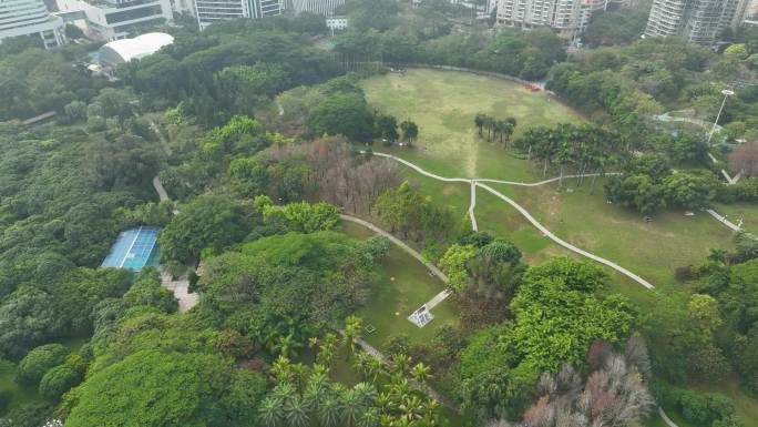 深圳南山区荔香公园航拍4K