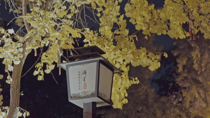 【高清50P】成都锦里古街夜景