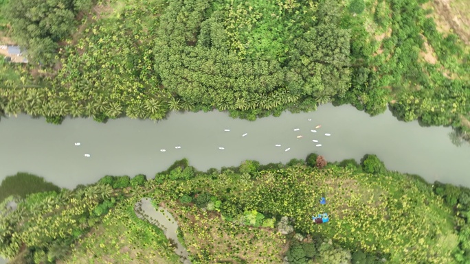 雨林划浆板