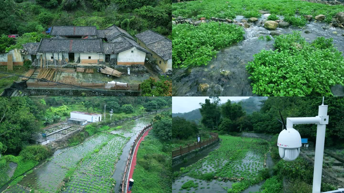 西洋菜水流智能监控