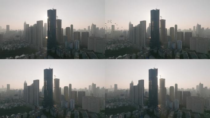 4K强光下武汉万象城写字楼与空中的飞鸽