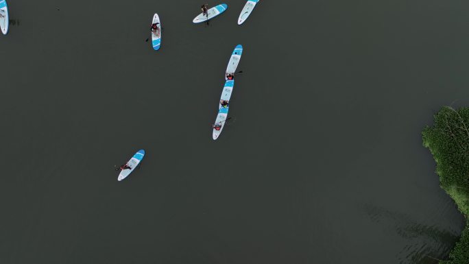 雨林划浆板