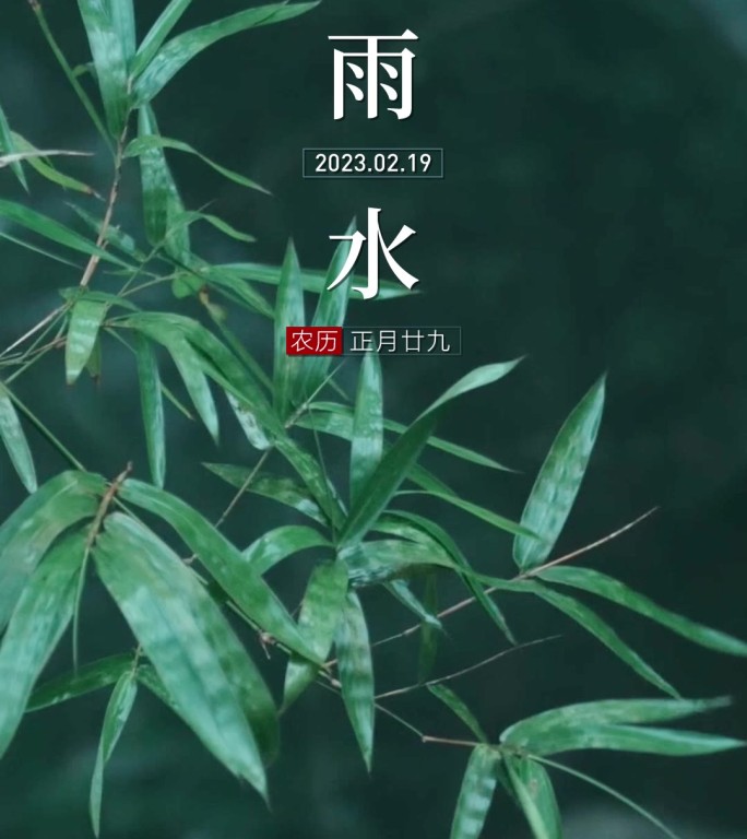 24节气之雨水地产15秒价值点推广小视频