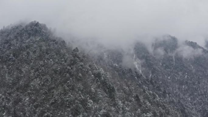 【航拍50P】冬季西岭雪山