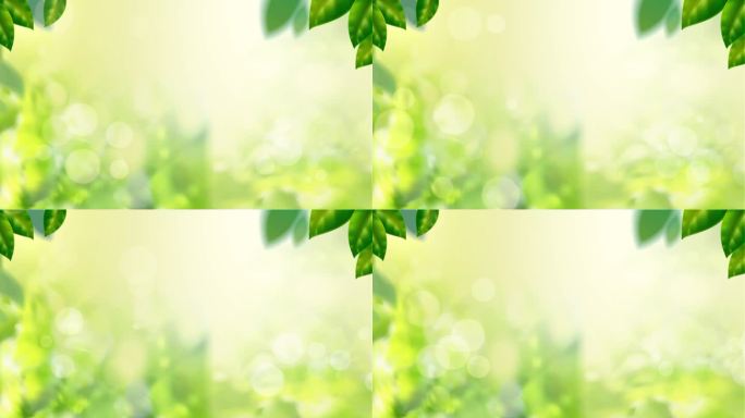 绿色唯美粒子树叶环保产品背景