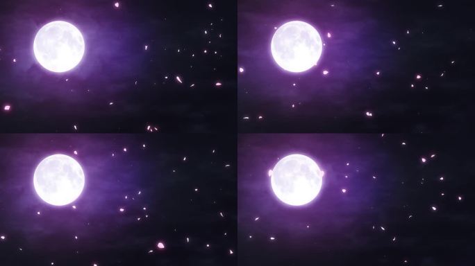 唯美月亮满月花瓣循环视频
