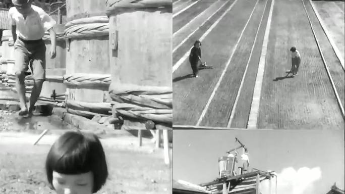 1946年战后日本 儿童制盐