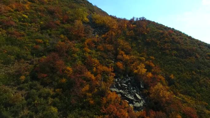 大青山航拍秋景