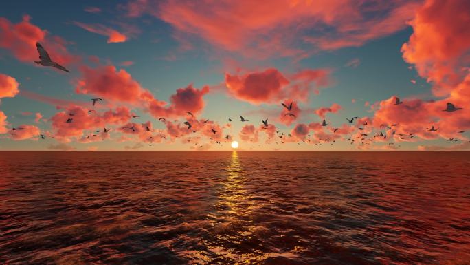 清晨朝阳朝霞中海面上飞翔的海鸥