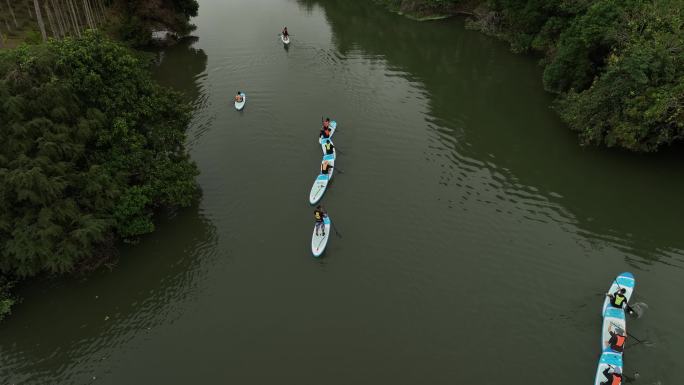 雨林划浆板