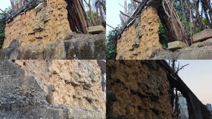 斑驳城墙农村土筑墙古旧围墙屋墙头藤条古墙