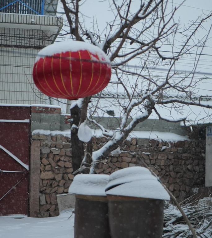 农村下雪的老房子视频