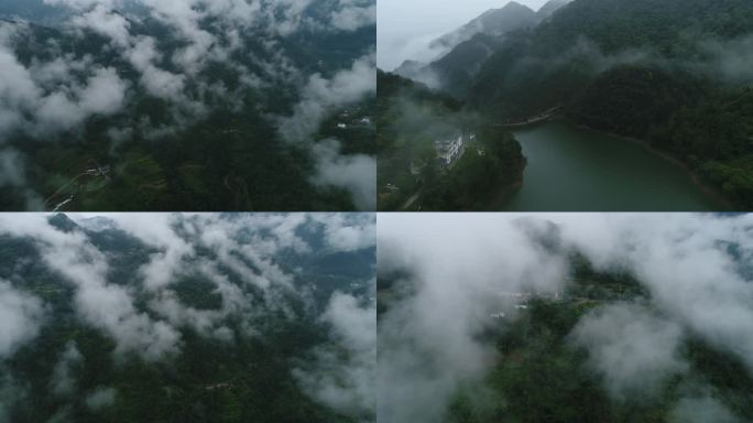 云海 日出 云雾缭绕 山顶云海 自然