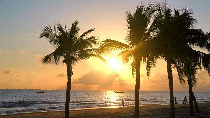 夕阳下的海边椰树