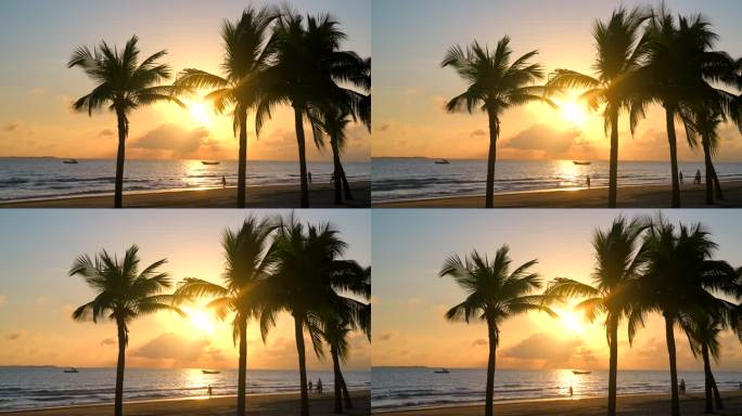 夕阳下的海边椰树