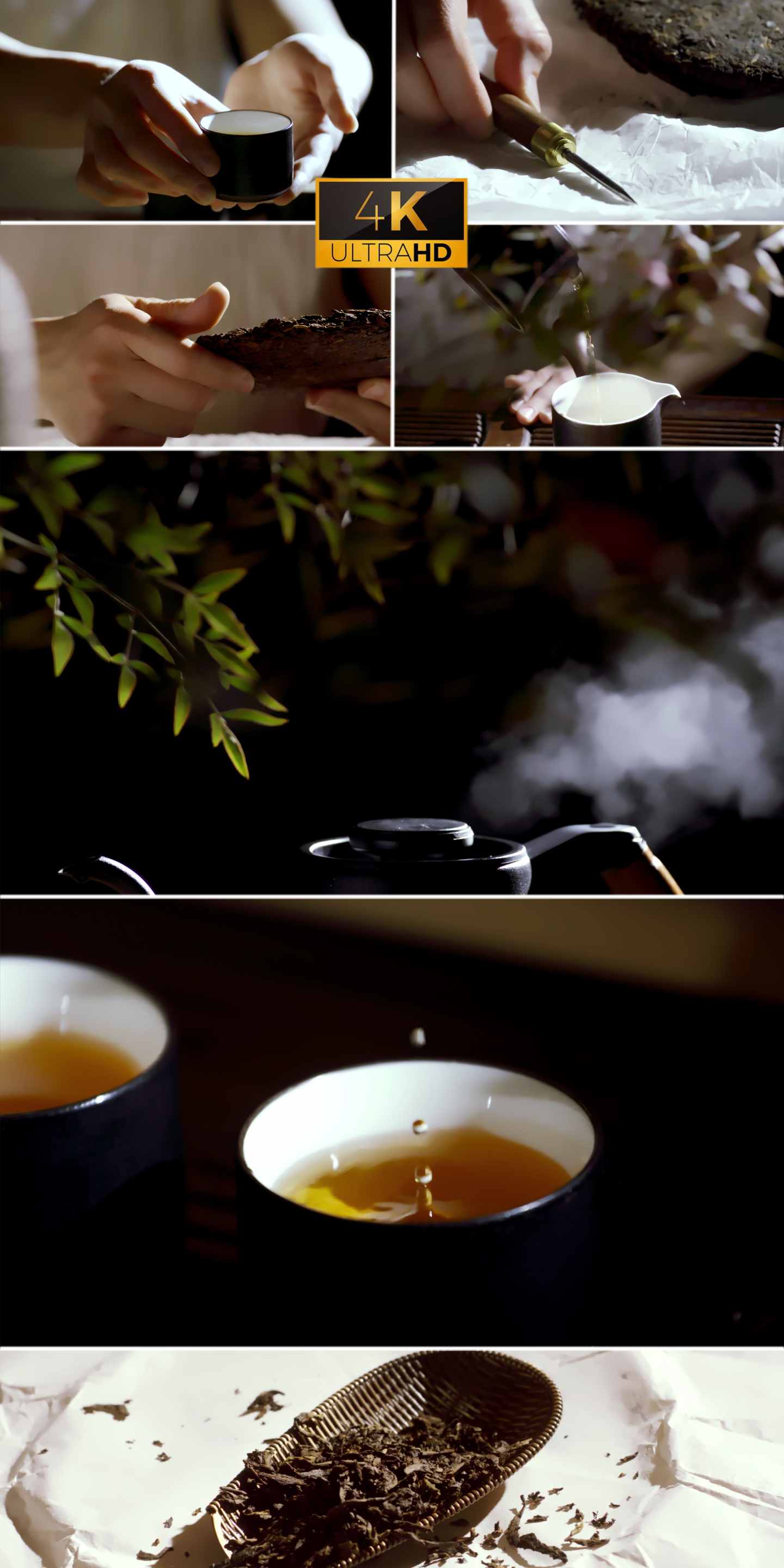 4K泡茶 喝茶 茶文化 茶叶 普洱茶