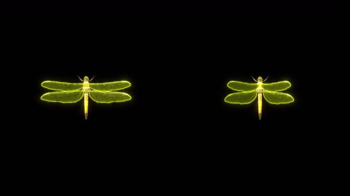 金色蜻蜓循环飞 带通道