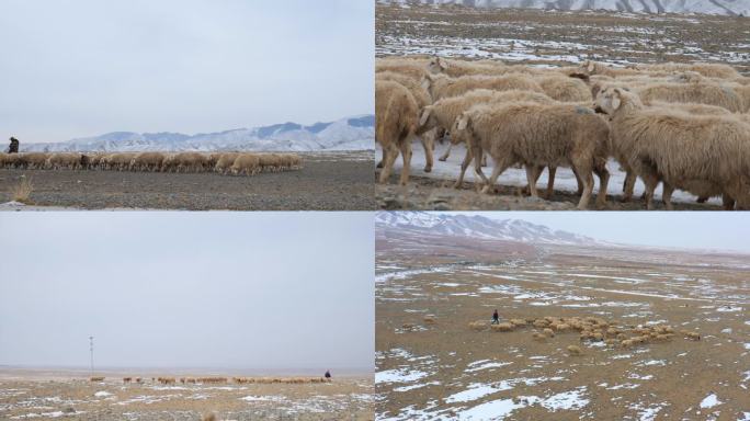 雪山草地羊群
