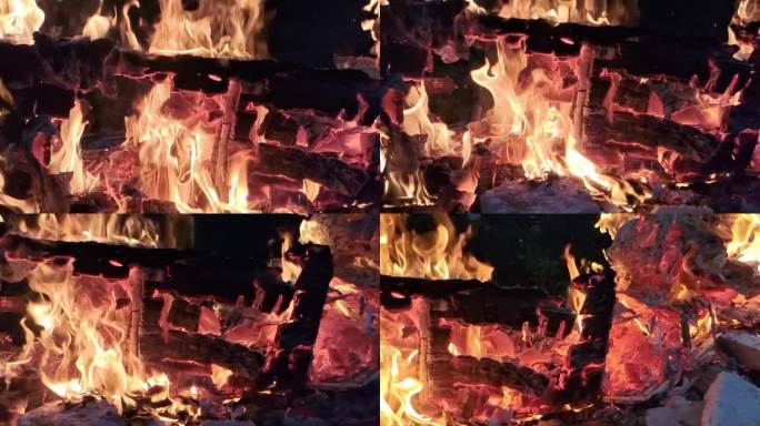实拍大火火焰燃烧树木燃烧实拍火焰点燃烈焰