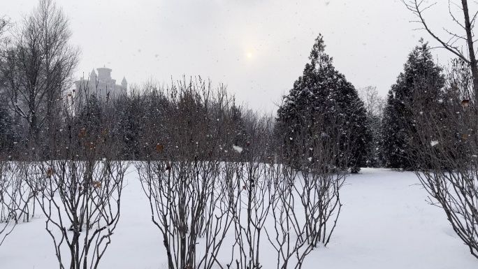 雪景