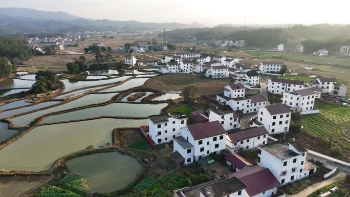 农庄 农田 万安新农村 农村大道航拍