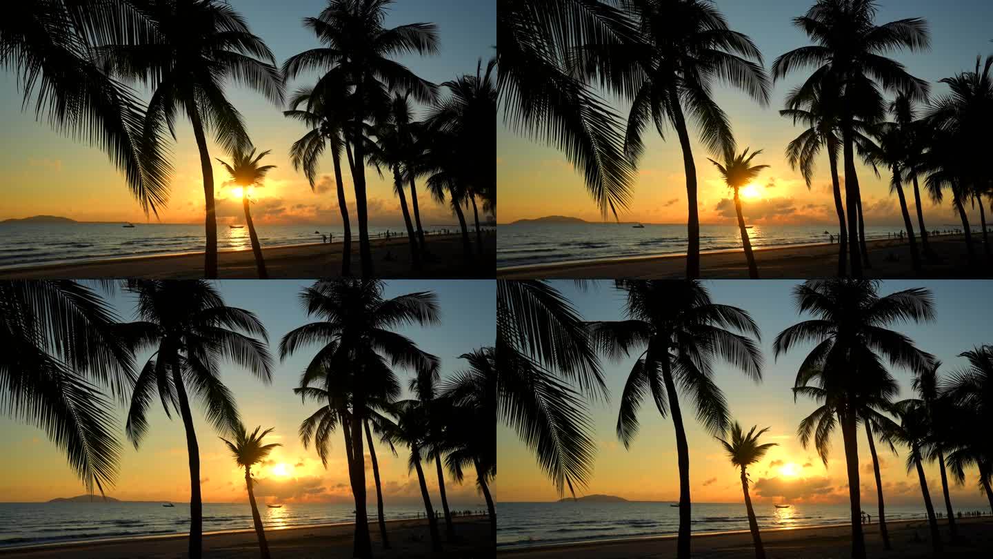 夕阳下的海边椰树
