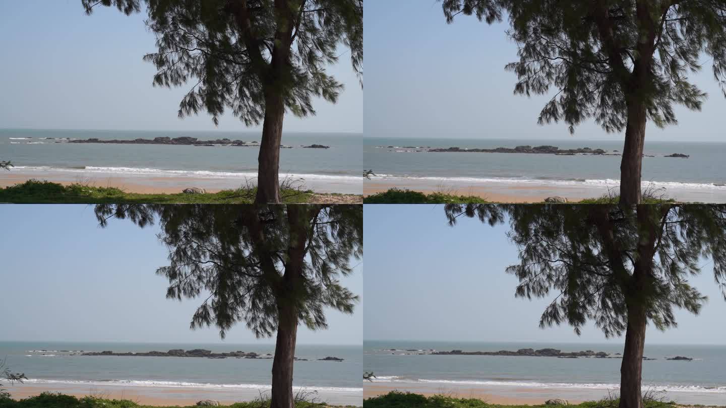 大海沙滩岸边上一棵树唯美海景风景自然风光