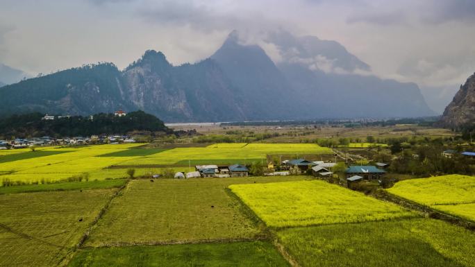 4K延时航拍林芝易贡乡春天美景