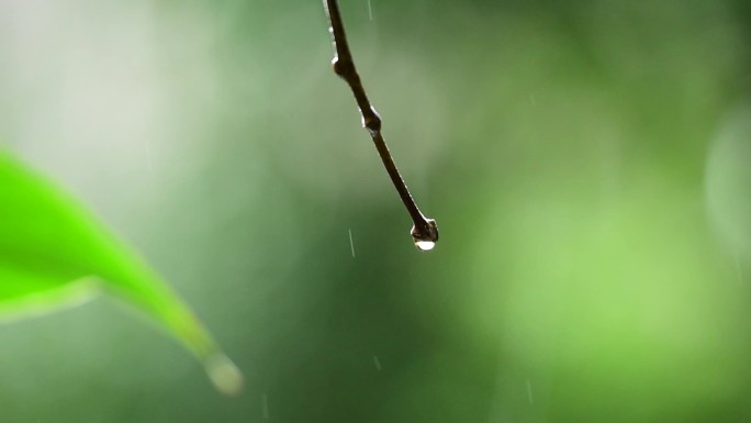 聆听雨声2