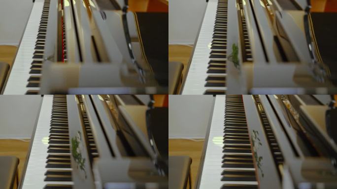 施坦威 钢琴 琴键 三角琴 高端 4K