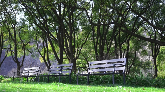 春夏空旷的公园上座椅