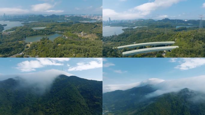 梧桐山 弘法寺 梧桐山 仙湖植物园航拍