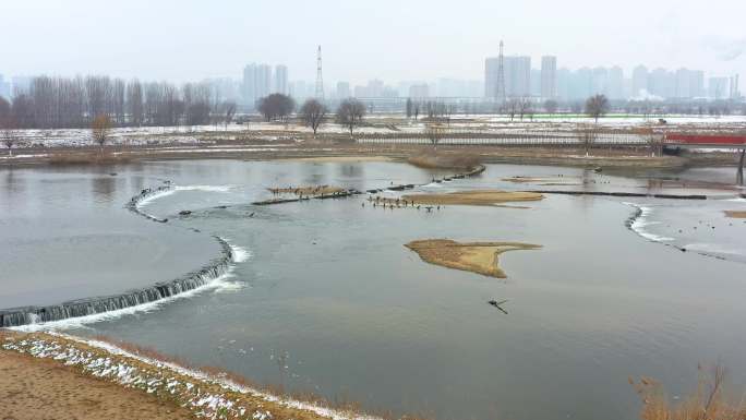渭河水源地