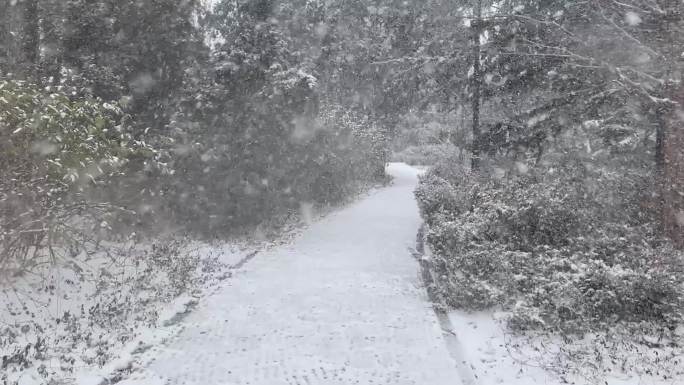 雪景 素材