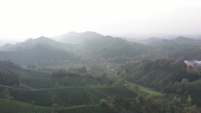 信阳茶山航拍信阳茶山航拍