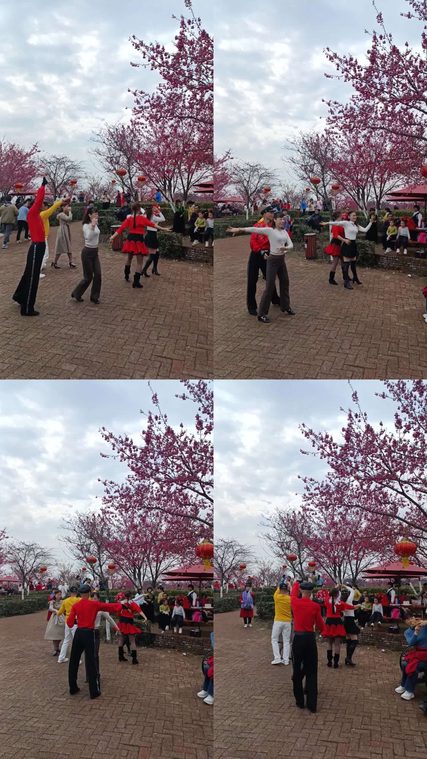 郴州高椅岭景区樱花园舞蹈人群