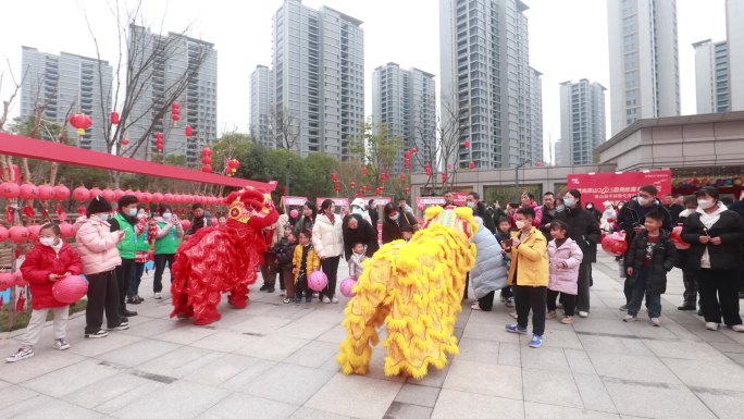 传统文化 舞龙舞狮 非遗文化传承国粹