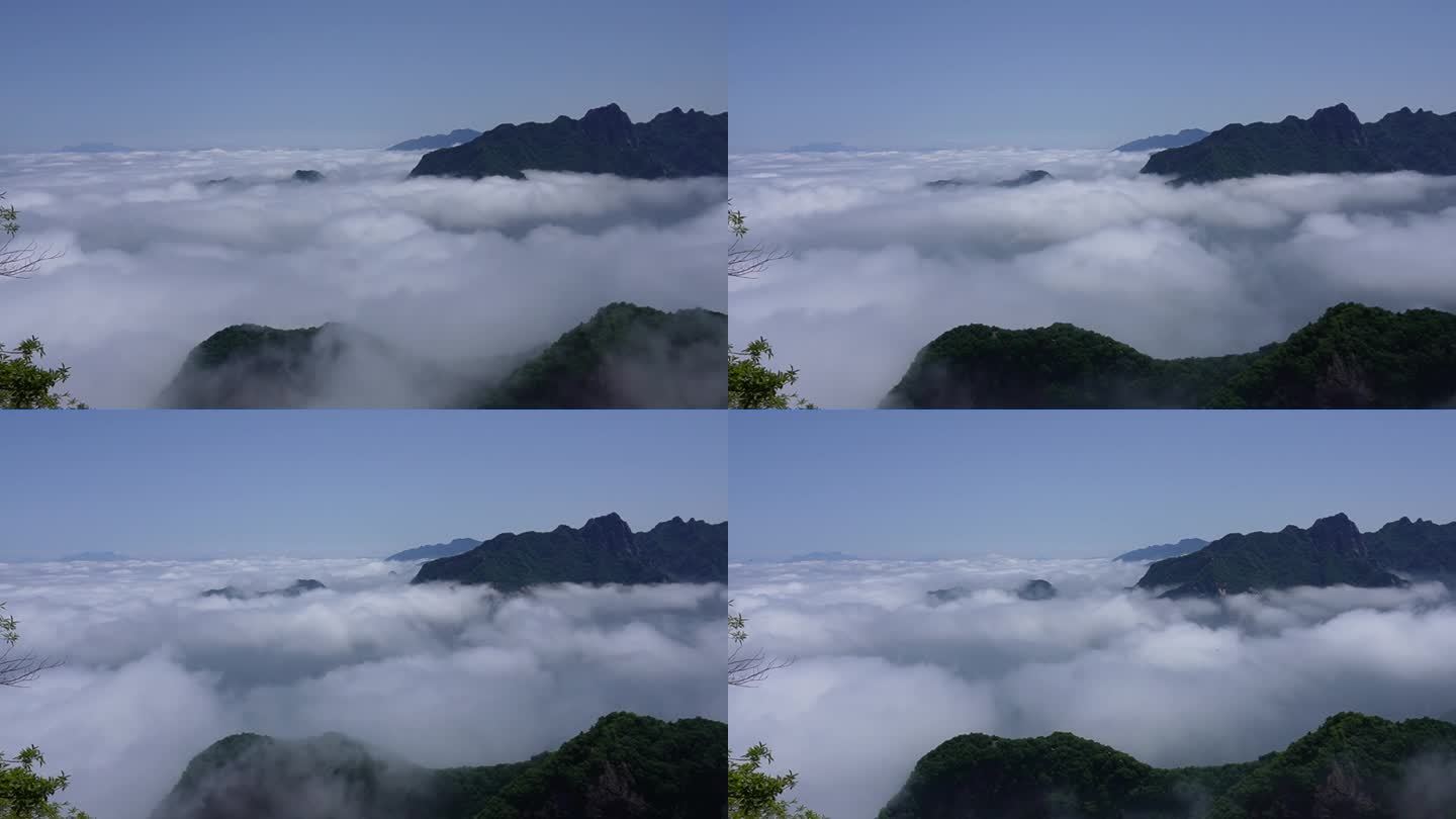 秦岭嘉午台云海延时群山美景 2