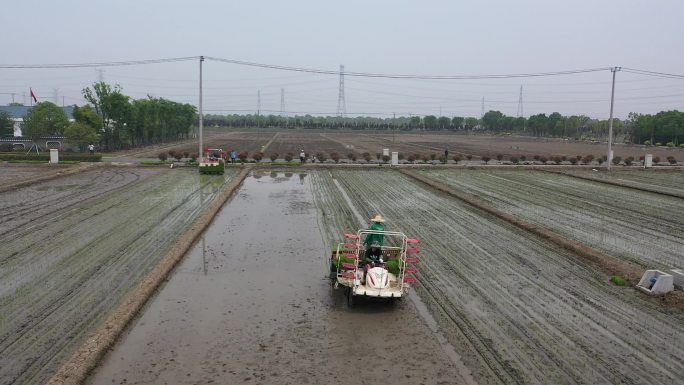 农忙水稻机械化种植航拍
