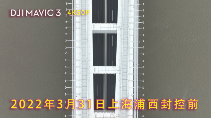 2022上海疫情封控航拍停摆的卢浦大桥