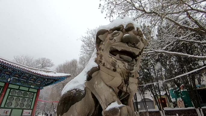 冬天冬季下雪雪花树木古建雪景白雪银装素裹