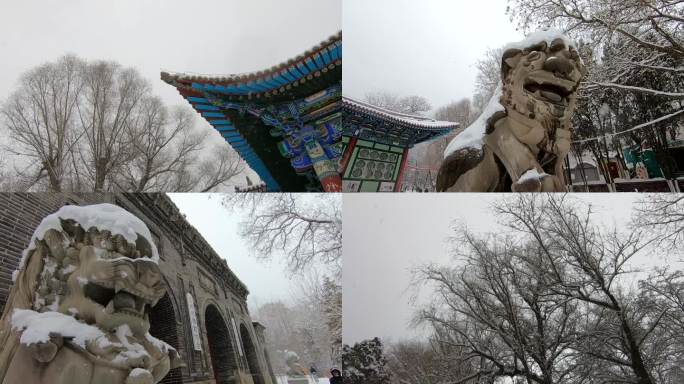 冬天冬季下雪雪花树木古建雪景白雪银装素裹