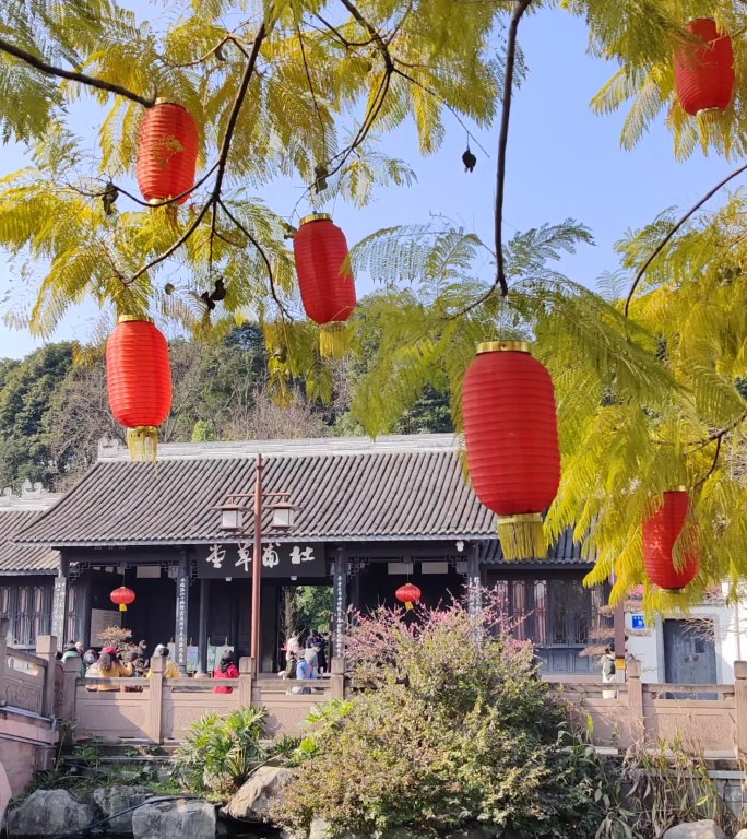 成都杜甫草堂大门口梅花盛开