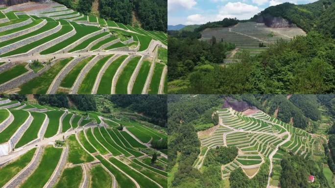 山上梯田多景别