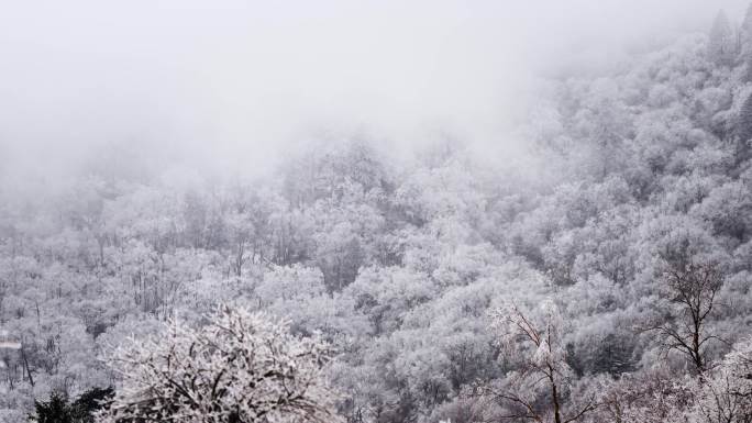 秦岭雪景