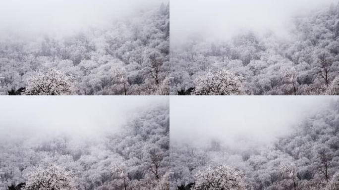 秦岭雪景